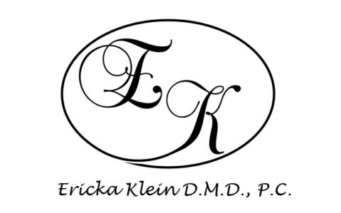 Ericka Klein DMD